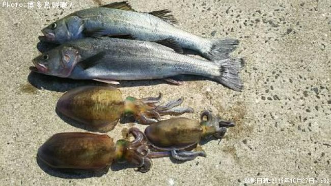 �����Х��������ꥤ��