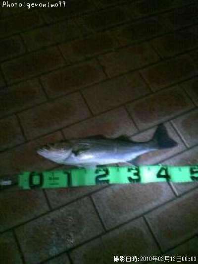 �����Х�