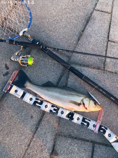 �����Х�