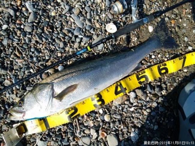 �����Х�