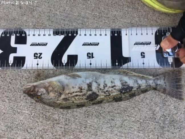 �����ʥ�