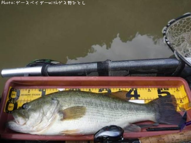 �֥�å��Х�