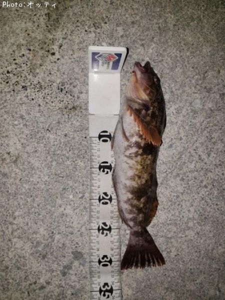 �����ʥ�