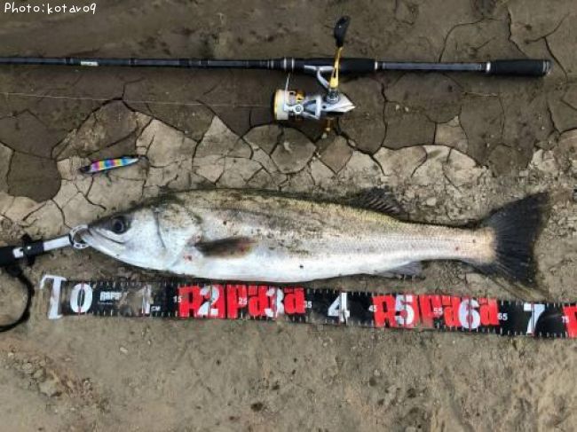 �����Х�