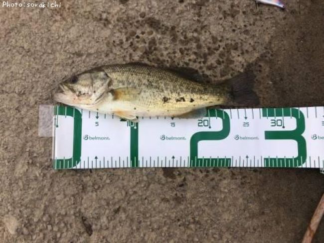 �֥�å��Х�