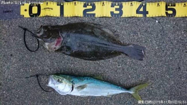 �ҥ�ᡡ�������֥�