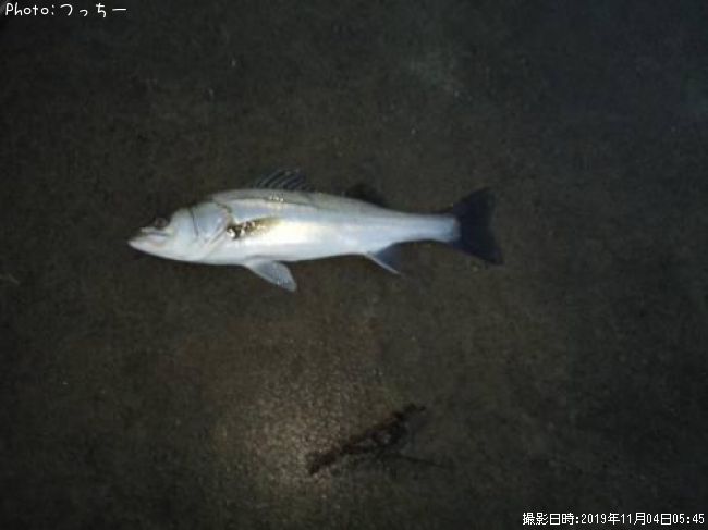 �����Х�