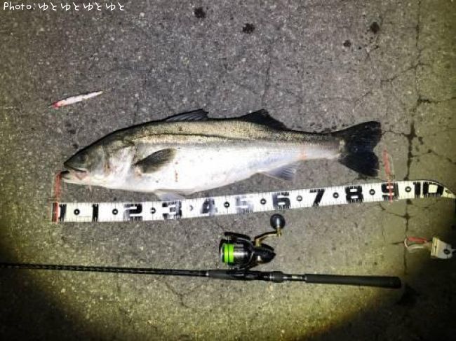 �����Х�