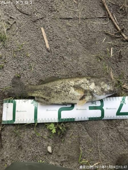 �顼���ޥ����Х�