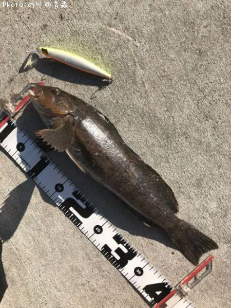 �����ʥ�