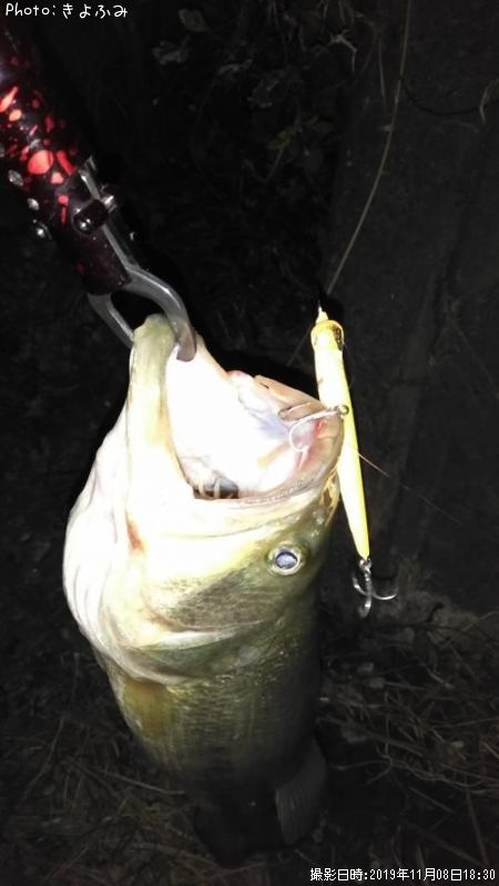 �֥�å��Х�