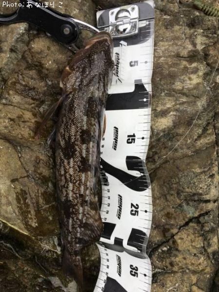 �����ʥ�