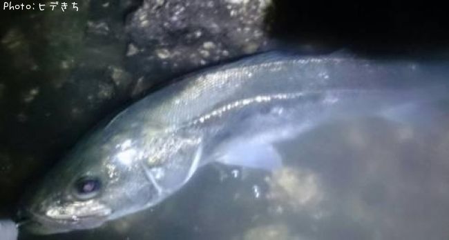 �����Х�