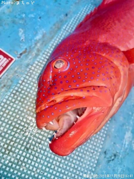 ��������ڥ��������