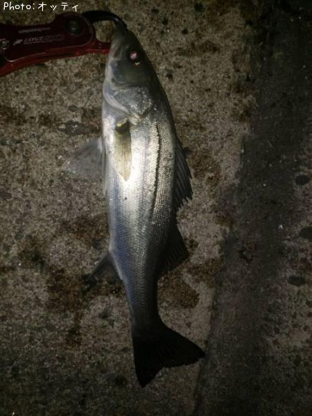 �����Х�