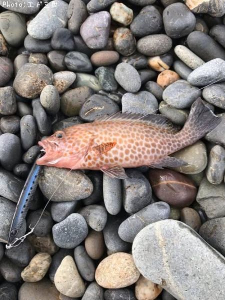 �������ϥ�