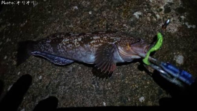 �����ʥ�