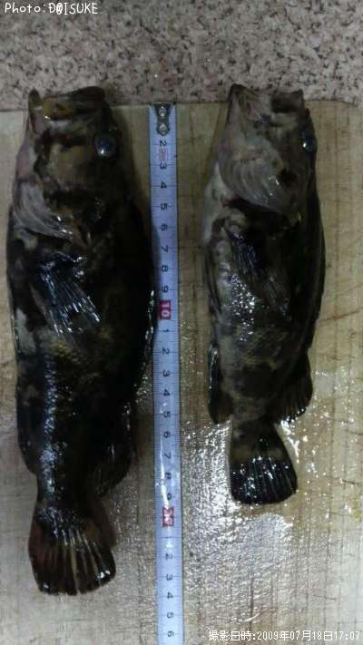 �����Υ���Х�