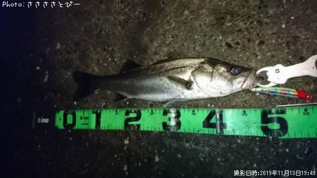 �����Х�