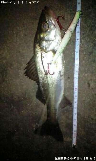 �����Х�