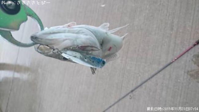 �����Х�