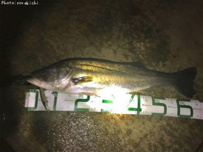 �����Х�