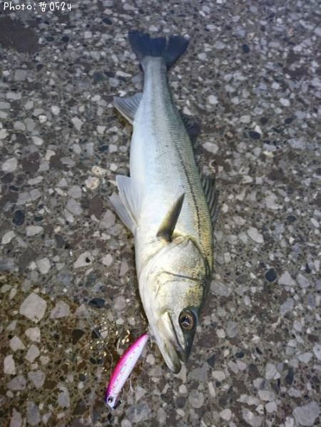 �����Х�