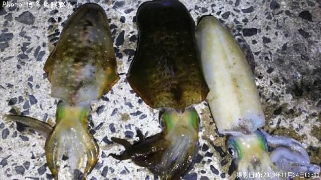 �����ꥤ��