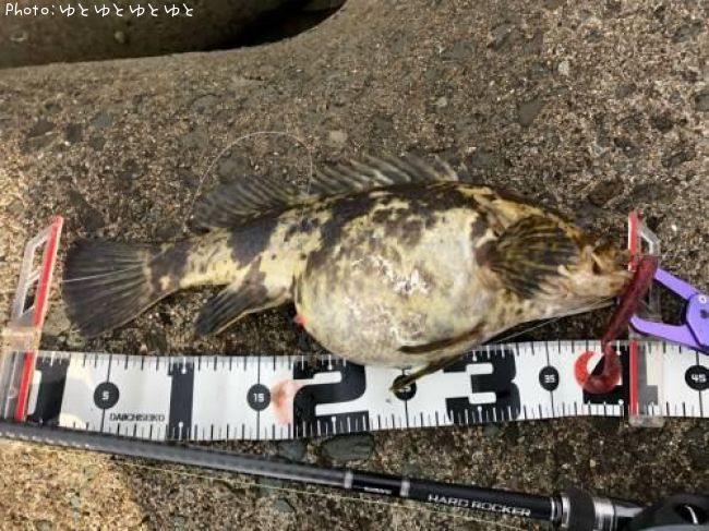 �����Υ���Х�