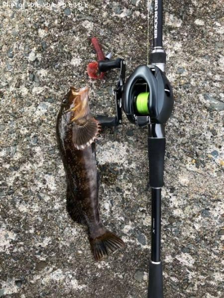 �����ʥ�