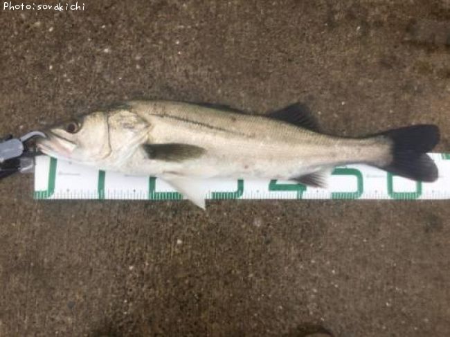 �����Х�