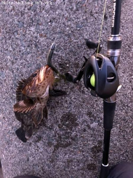 �����Υ���Х�