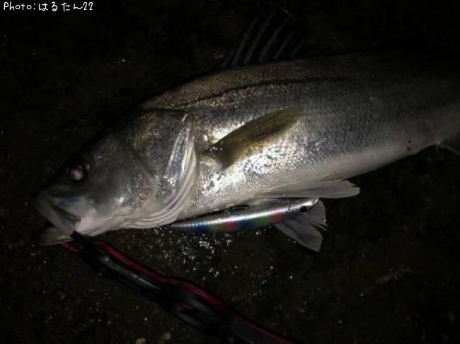 �����Х�