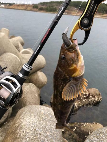 �����ʥ�