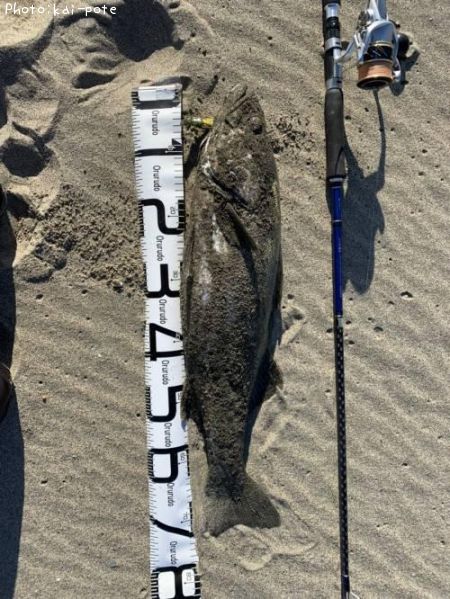 �����Х�