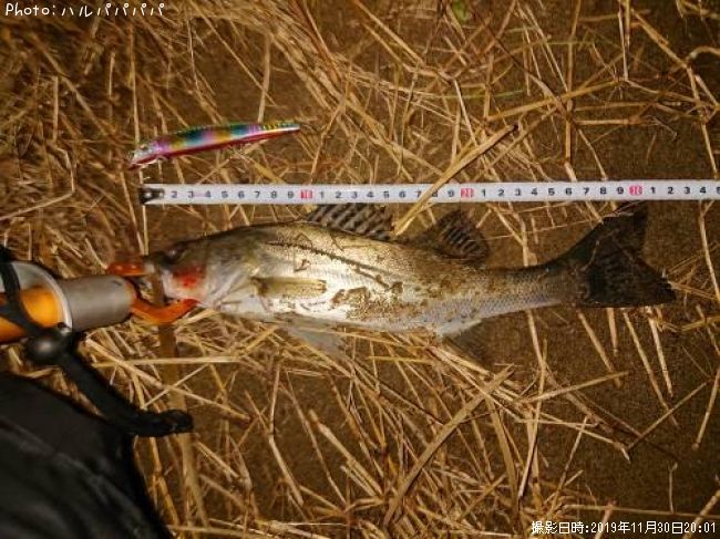 �����Х�