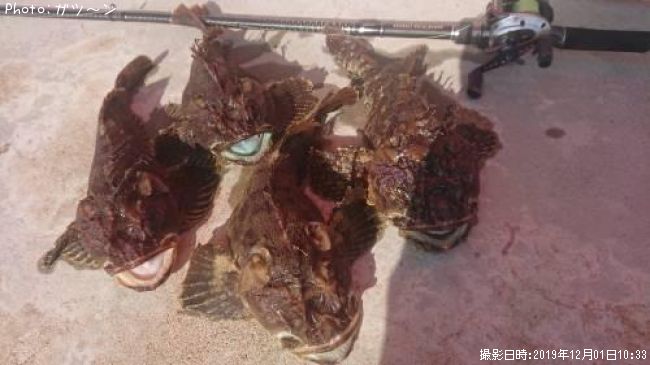 �ܥå��ʥ��ॷ��������