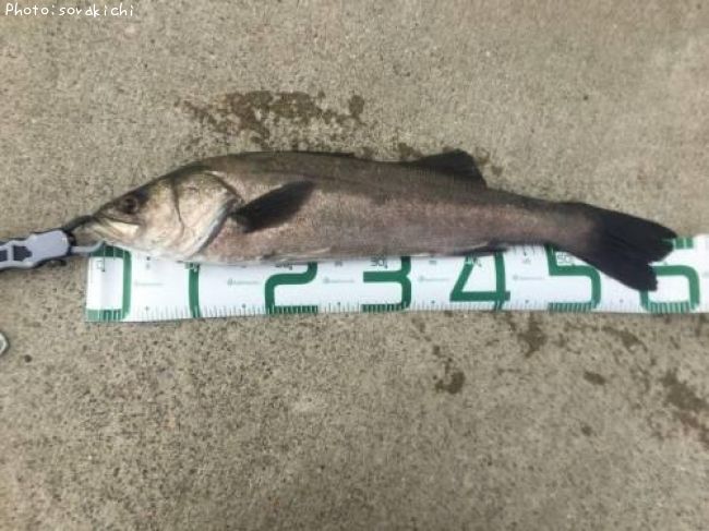 �����Х�