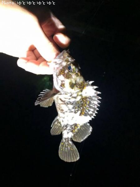 ���������饽��