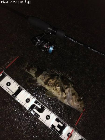 �����Υ���Х�