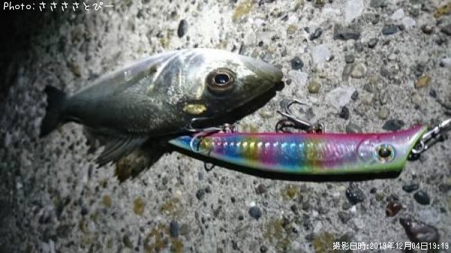 �����Х�