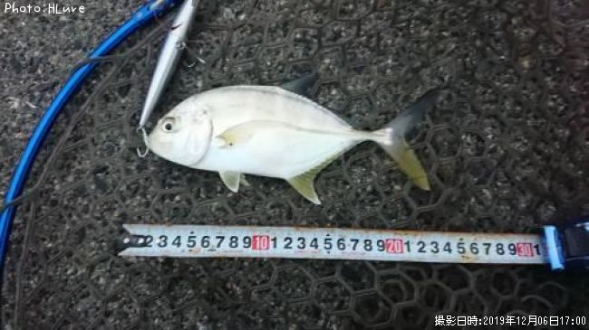 ��å�����