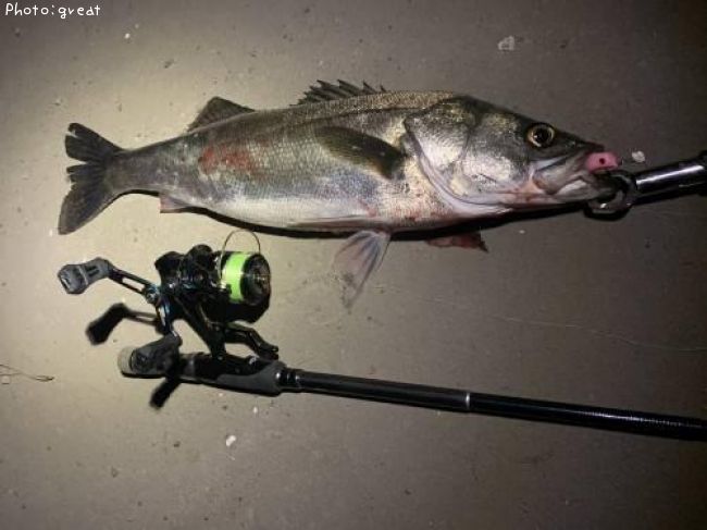 �����Х�