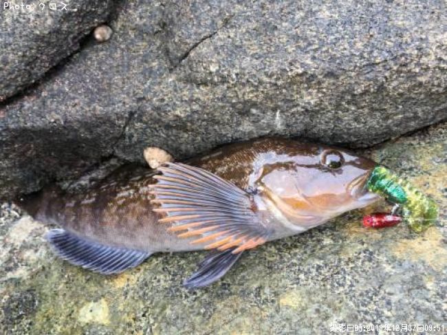 �����ʥ�