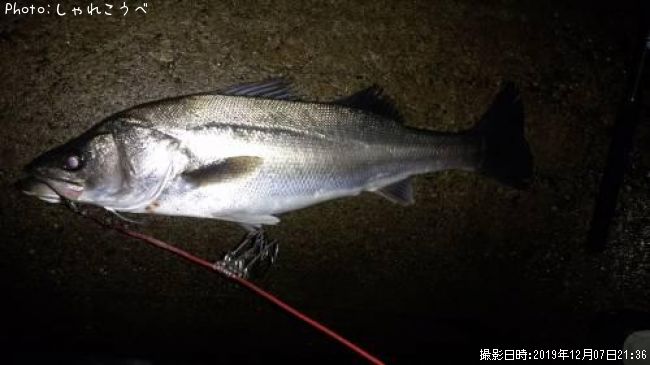 �����Х�