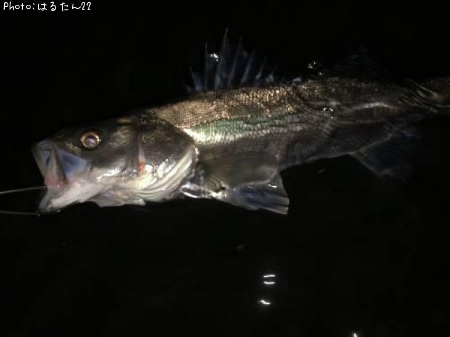 �����Х�