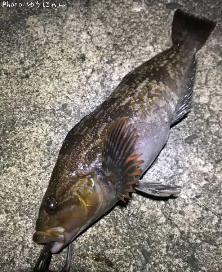 �����ʥ�