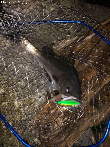 �����Х�