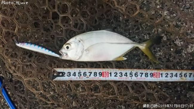 ��å�����