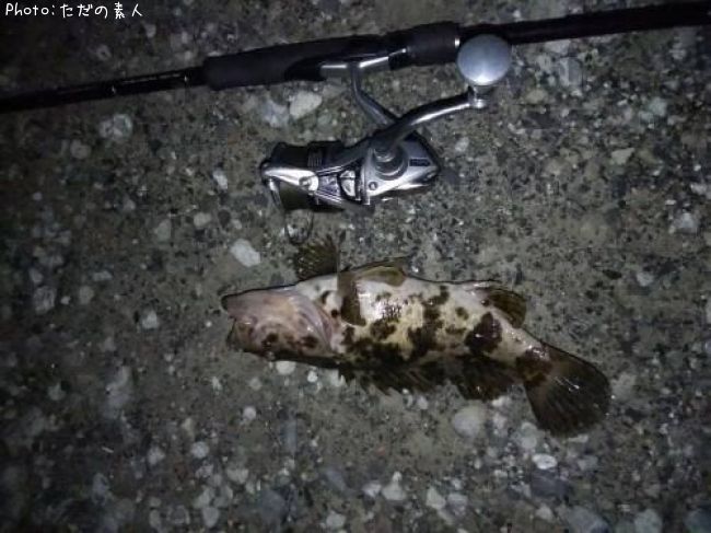 �����Υ���Х�